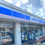 ローソン海南名高西店 (周辺)